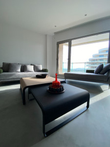 پروژه پارسیس